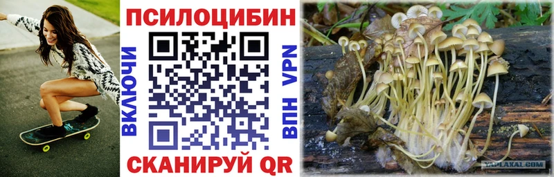 Галлюциногенные грибы Psilocybine cubensis  Коммунар 